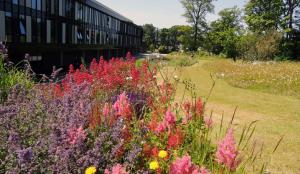 alojamiento residencial en Ayr, campus UWS muy cerca de Glasgow 
