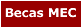 Becas MEC 2008 Paquetes de Curso de Ingles + Alojamiento en Inglaterra especialmente preparados para las Becas MEC Verano 2008